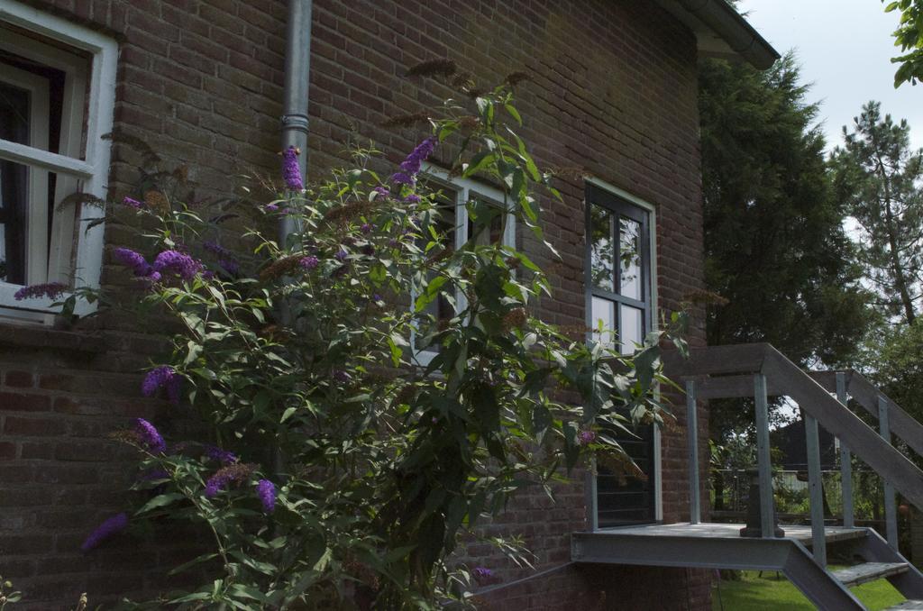 Kesselsheerlijkheid Maren-Kessel Bagian luar foto