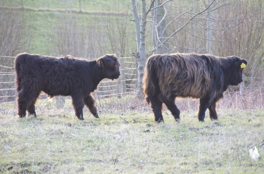 Kesselsheerlijkheid Maren-Kessel Bagian luar foto